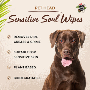 Sensitive Soul Wipes