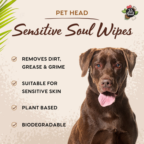 Sensitive Soul Wipes