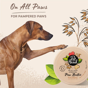 All Paws Oatmeal Paw Butter