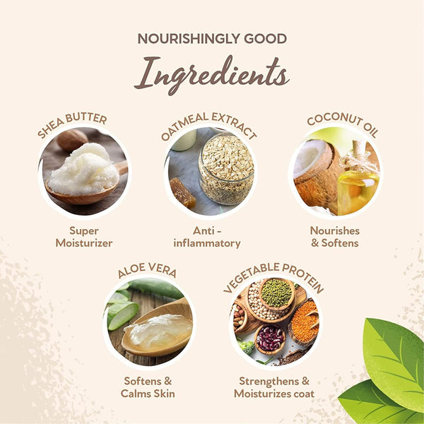 All Paws Coconut Paw Butter