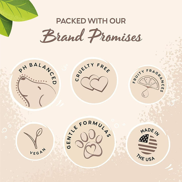 All Paws Coconut Paw Butter