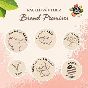 Quick Fix Paw & Body Wipes