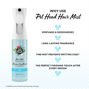 Hair Mist Sea Salt