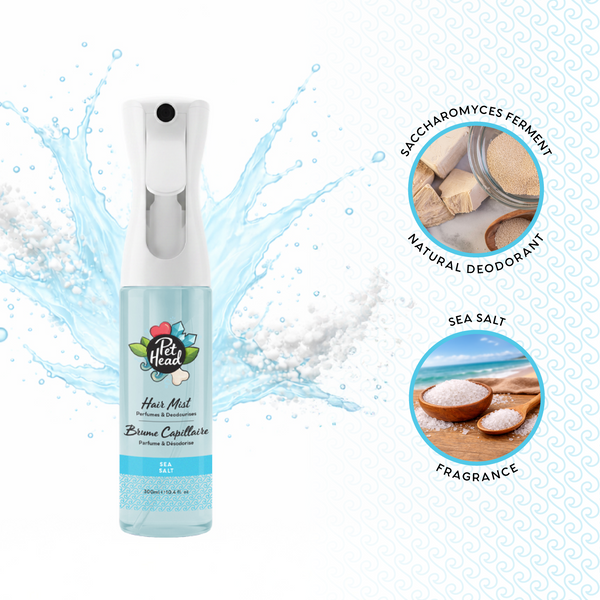 Hair Mist Sea Salt