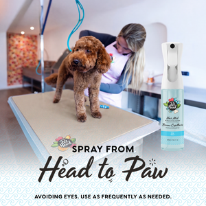 Hair Mist Sea Salt