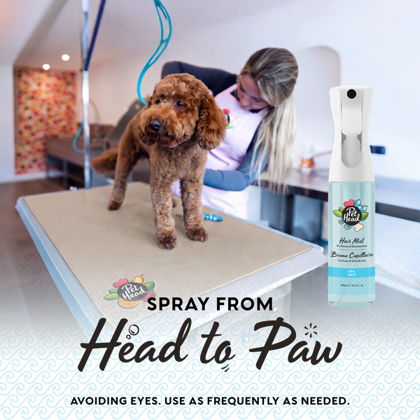 Hair Mist Sea Salt