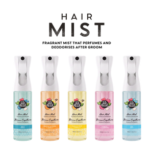 Hair Mist Sea Salt