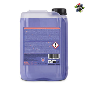 Professional Berry Bright Shampoo 5L