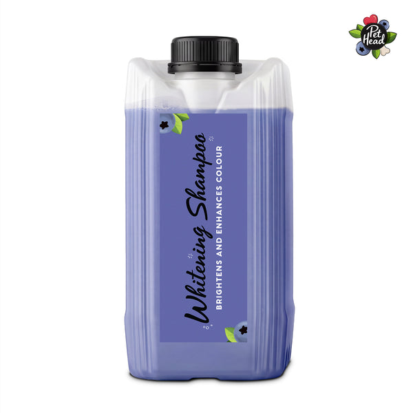 Professional Berry Bright Shampoo 5L