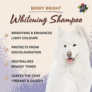 Professional Berry Bright Shampoo 5L