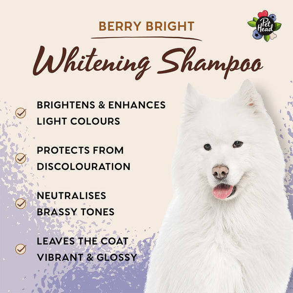 Professional Berry Bright Shampoo 5L