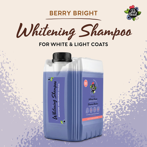 Professional Berry Bright Shampoo 5L
