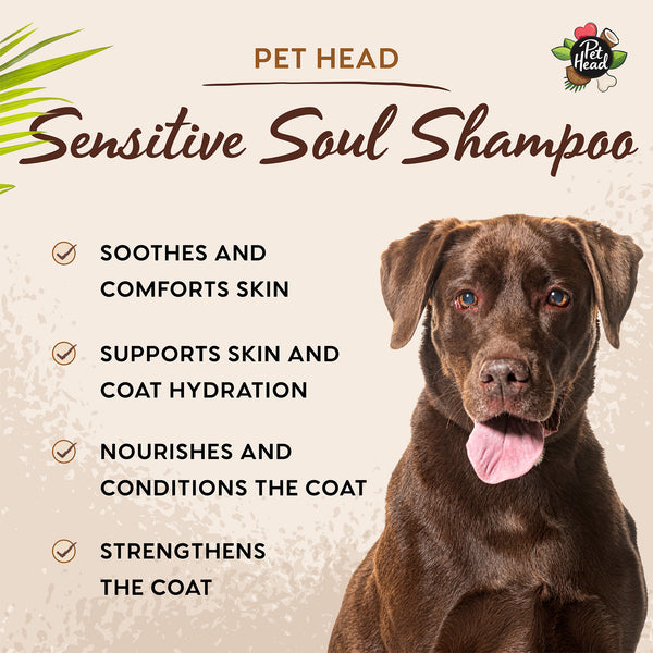 Professional Sensitive Soul Shampoo 5L