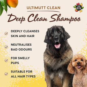 Professional Ultimutt Clean Shampoo 5L